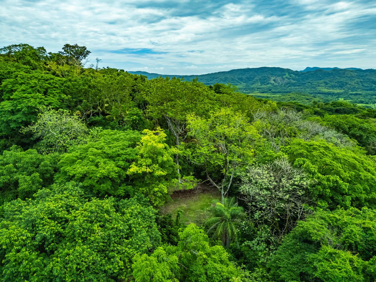 The Refuge: Ecological Lots in Hojancha Blue Zone - photo 14