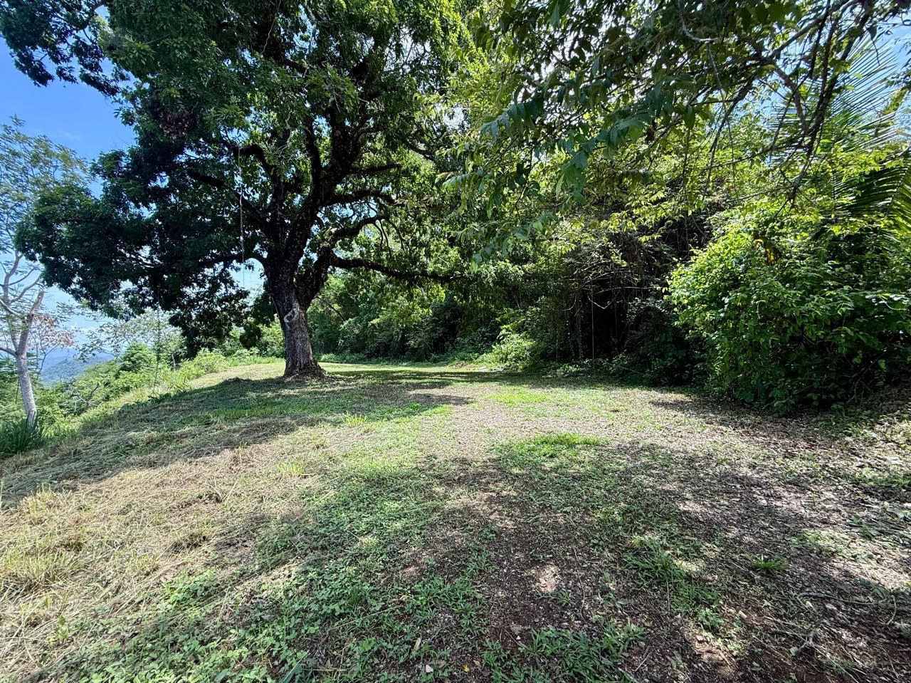 Ocean View Lot for Sale Coyote Beach Guanacaste Costa Rica - Gallery image 13