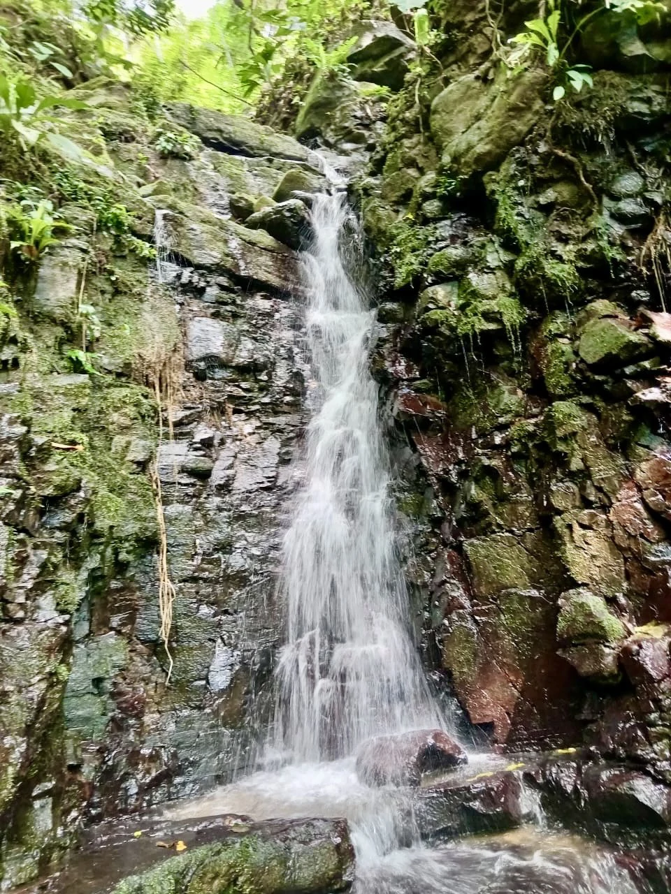 Spring and Waterfall!  3,2 Acres lot in Uvita Mountains - Gallery image 10