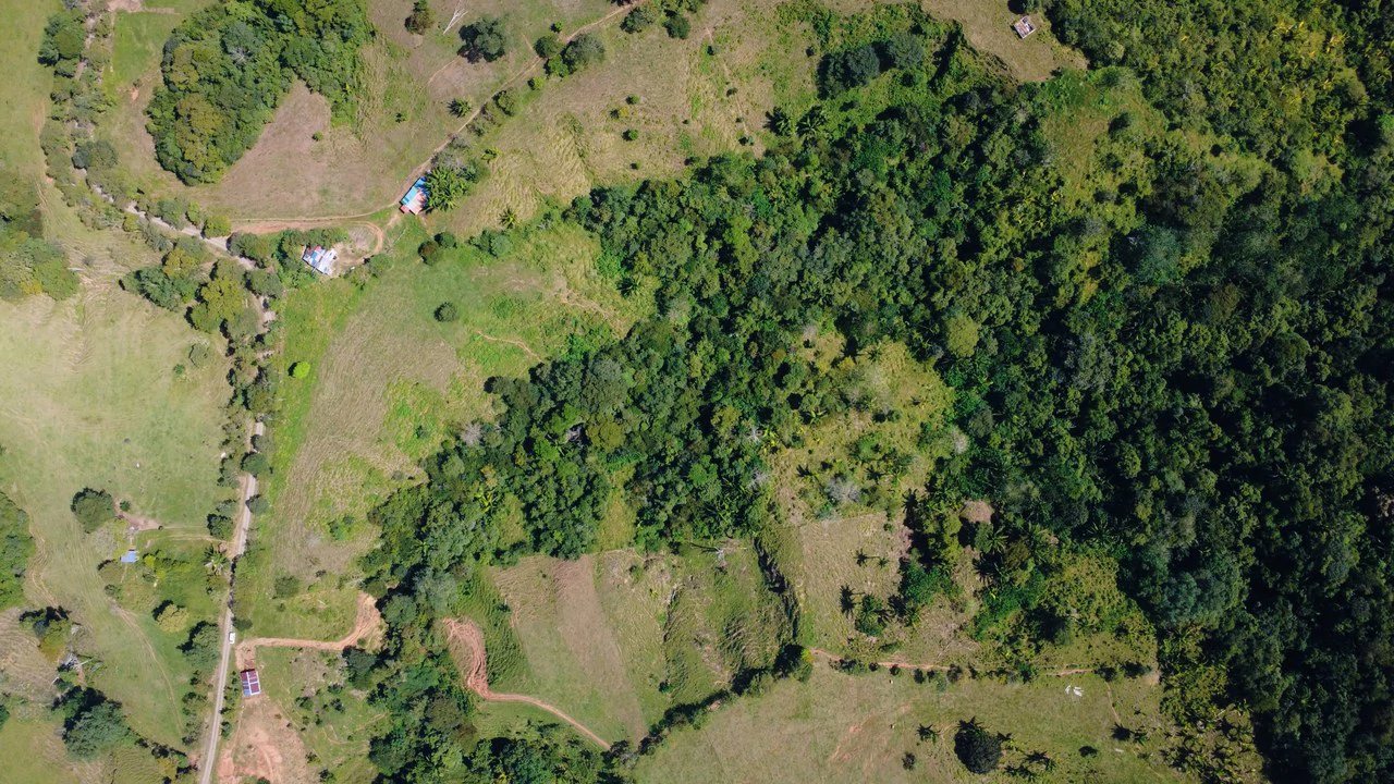 8HA EN VENTA, UBICADA EN BUENOS AIRES, PUNTARENAS.: Countryside Home Construction Site For Sale in Buenos Aires - Gallery image 3