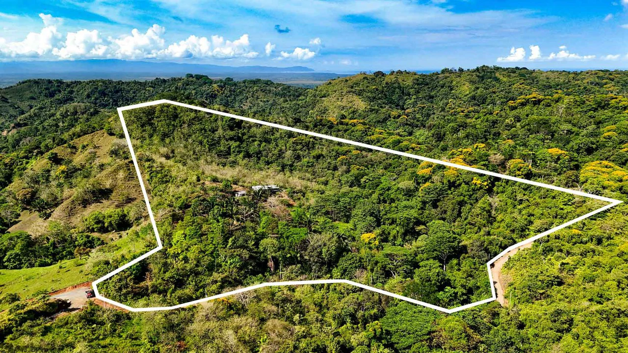32 Acre Self Sustainable Farm with House Close Ojochal - Gallery image 61