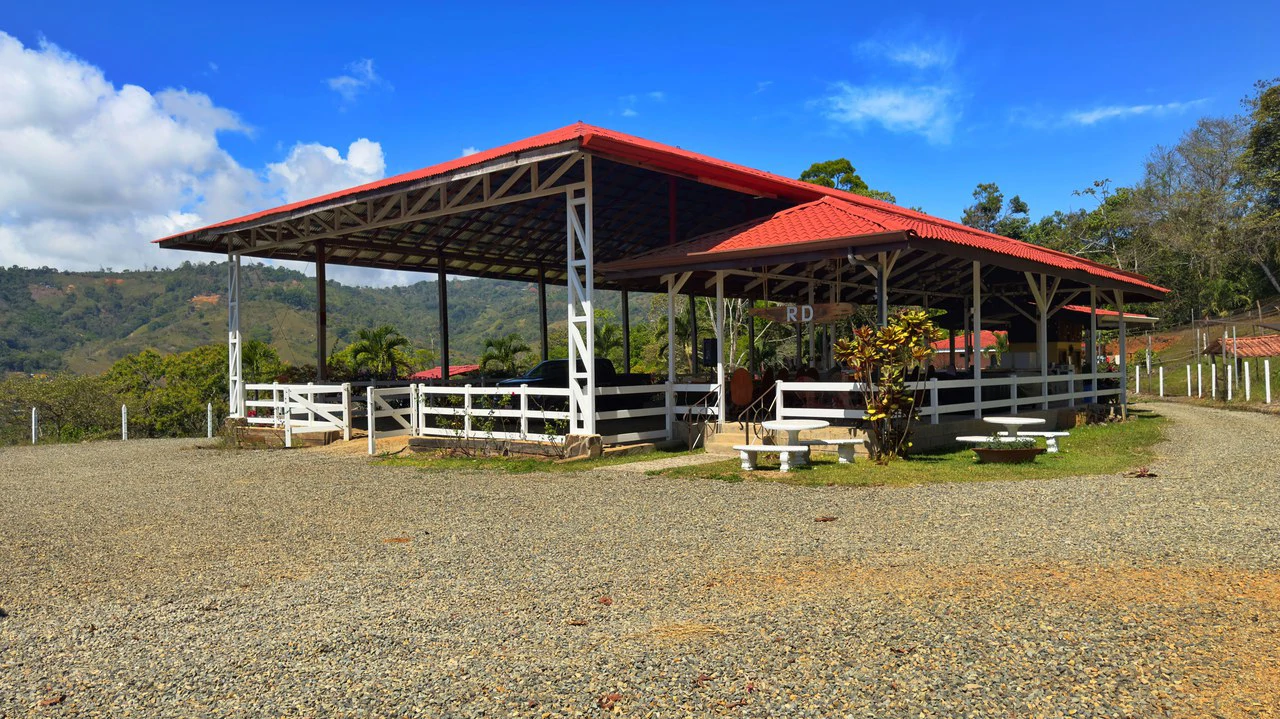 Agricultural Land For Sale in Daniel Flores - Gallery image 31