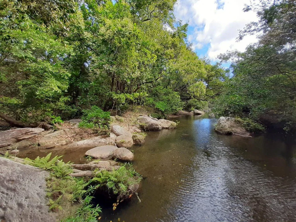 Big Farm: Property of 231 hectares in the Salto de Bagaces - Gallery image 19