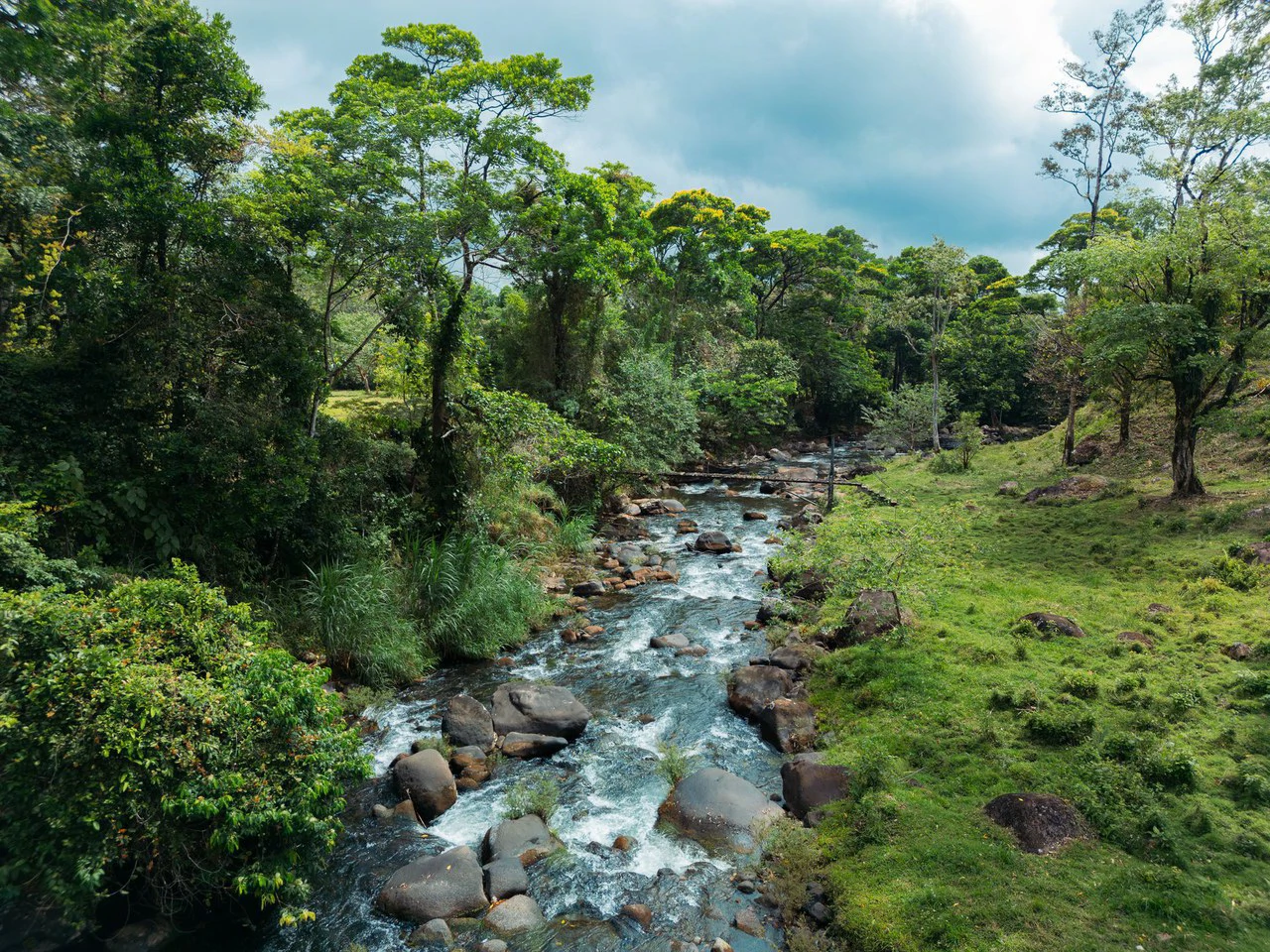 Finca Abuelo: Riverfront, Mountain and Countryside Agricultural Land For Sale in Aguas Claras