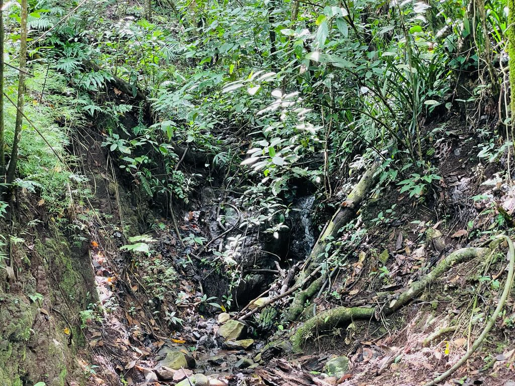Farm for sale Puriscal Close to Universidad para la Paz Costa Rica - Gallery image 12