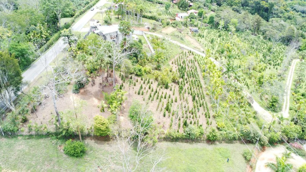 Propiedad en La Bonita Emma-137480: Mountain and Countryside Home Construction Site For Sale in San Isidro del General - Gallery image 11