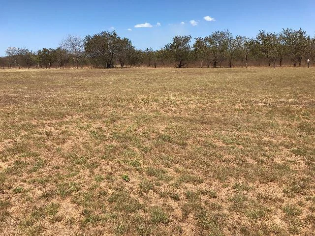 Huge terrain for sale in Guardia close to the International Airport of Liberia - Gallery image 34
