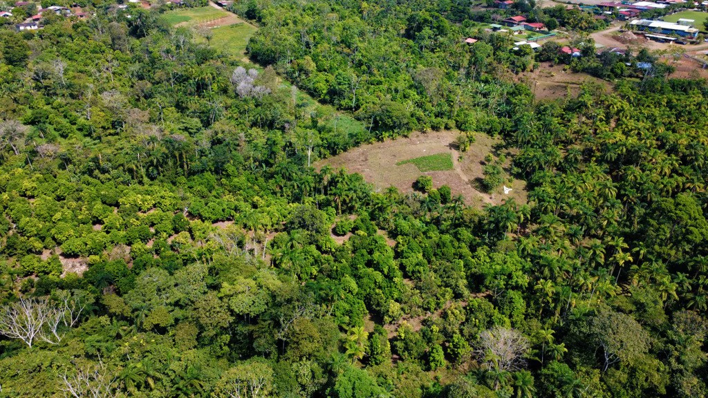 Countryside Agricultural Land For Sale in Pueblo Nuevo - Gallery image 3