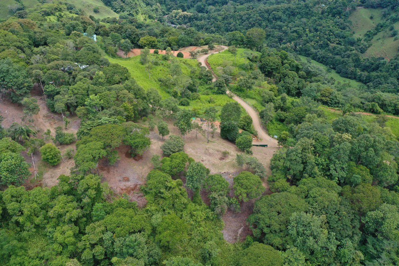Diamante Waterfall View Land in Dominical 2.9 Acres - Gallery image 24