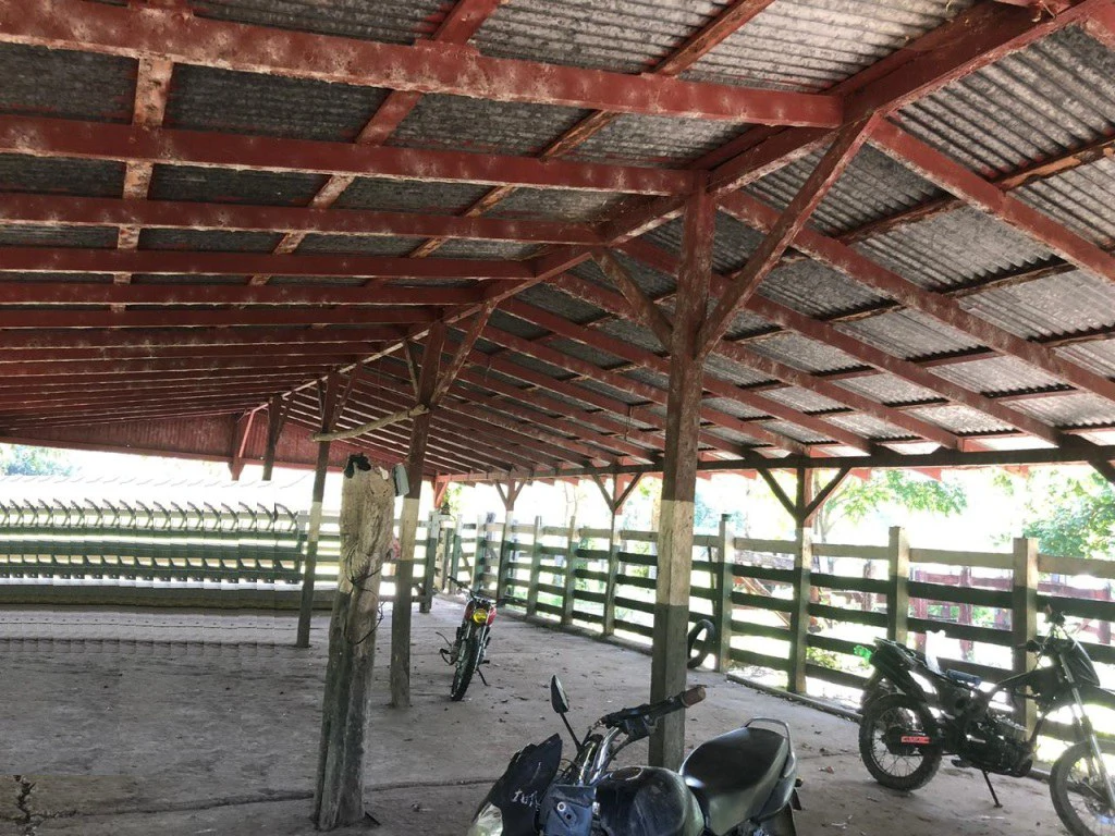 Teak Farm for Sale with a Hacienda Villa and 3 houses in La Cruz, 1 hour away from Liberia - Gallery image 15