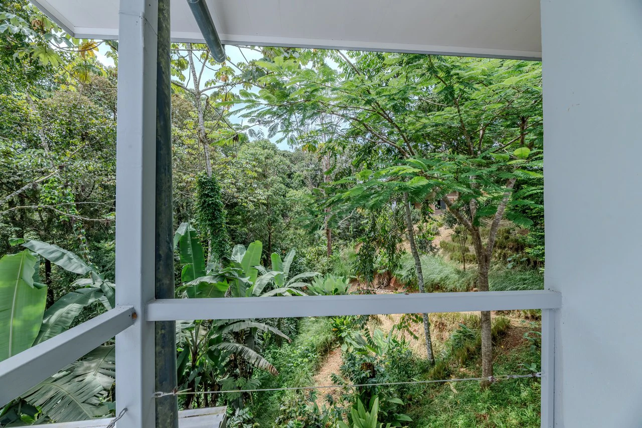 Multi-Family Compound, 4 Fully Furnished Units | 15 Minutes to the Beach - Gallery image 21