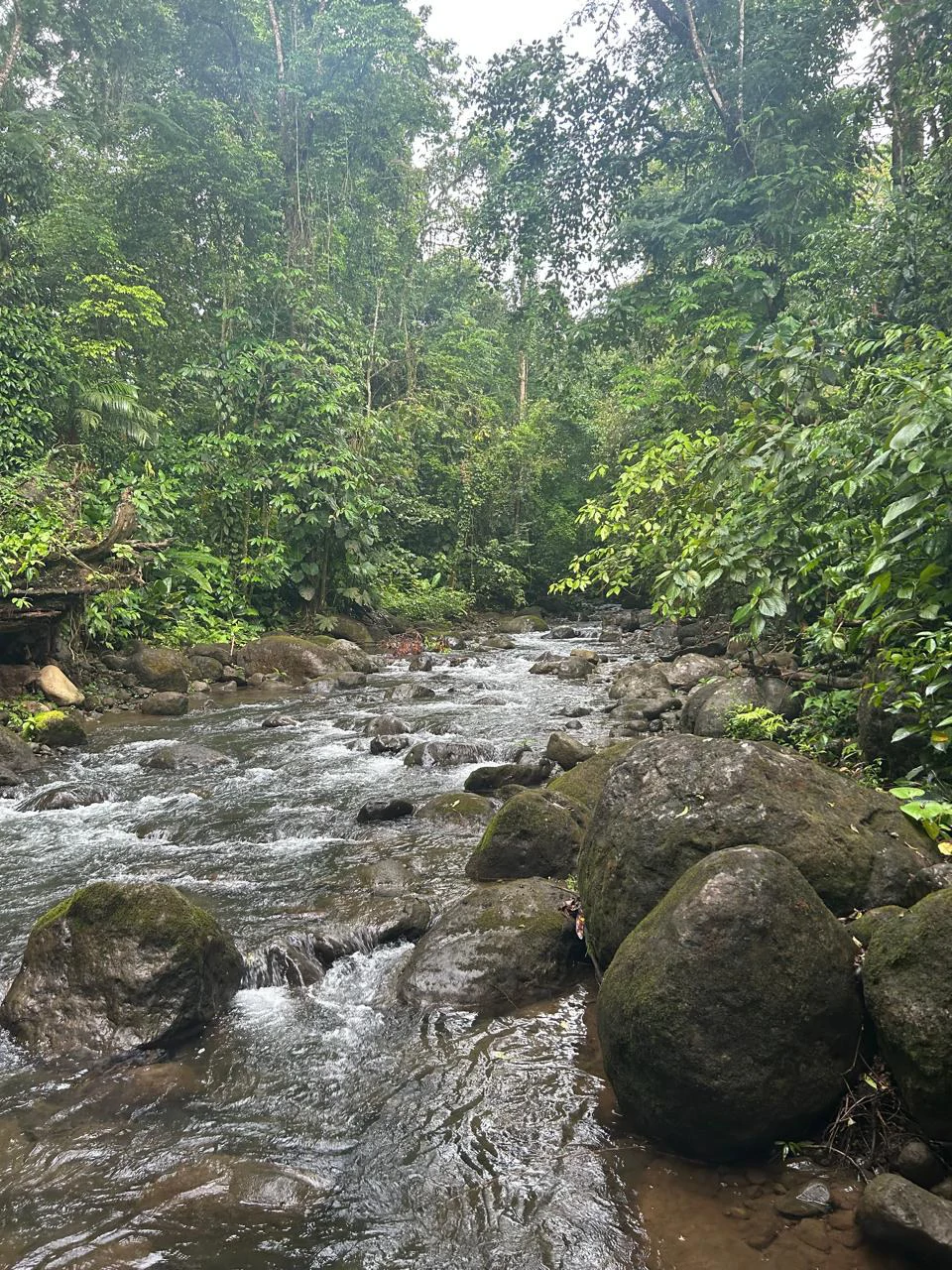 Incredible Building Lot: Riverfront Home Construction Site For Sale in Peñas Blancas - Gallery image 11
