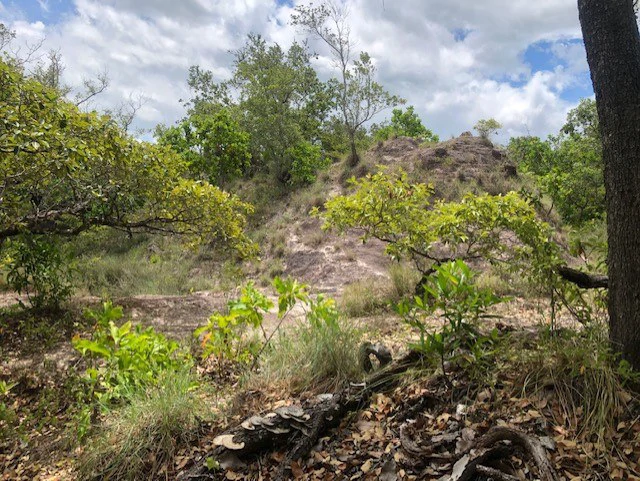 Mountain Farm for Sale in Liberia – Nature, Privacy, and High Investment Potential - Gallery image 28
