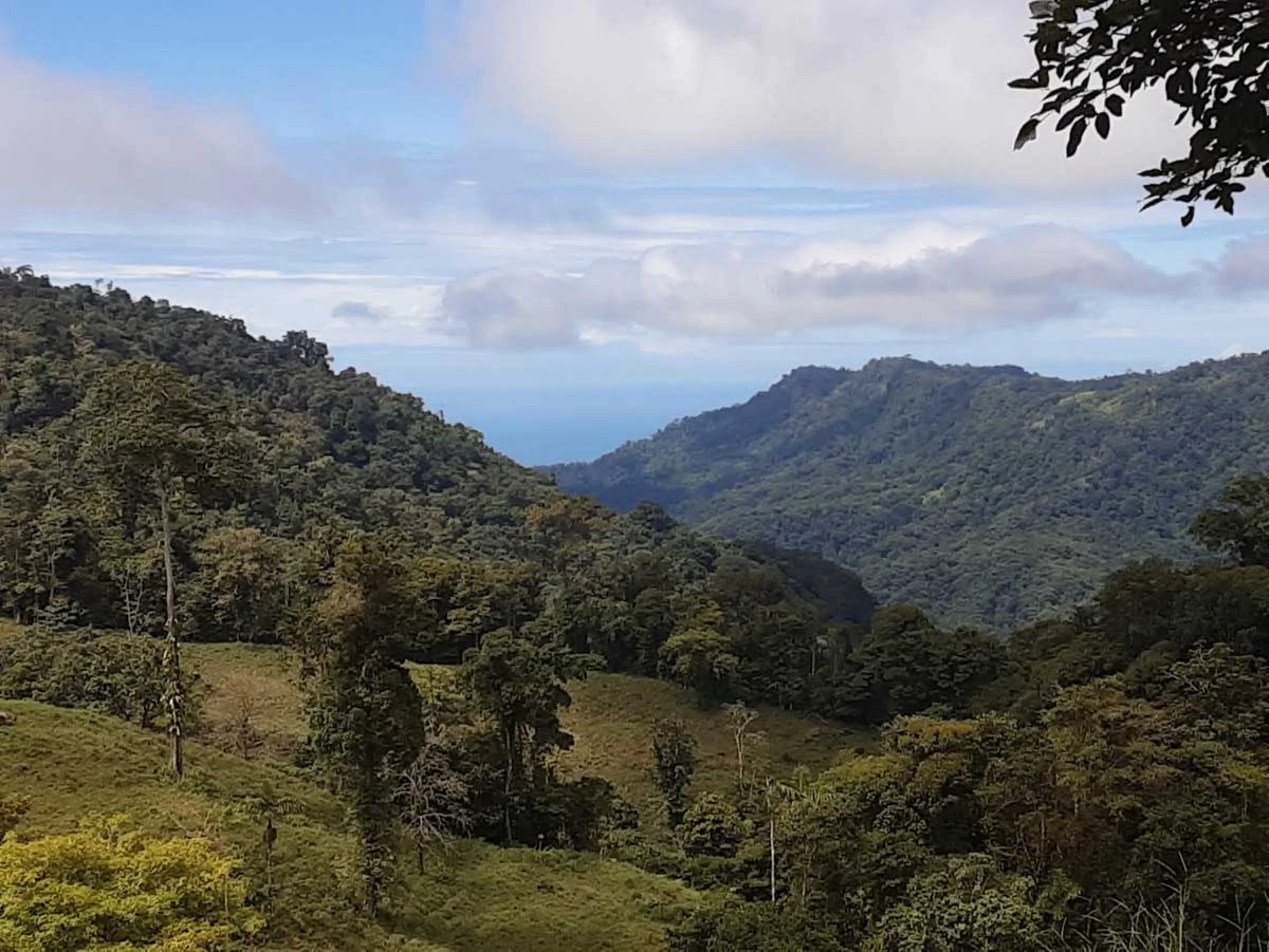 Finca Tesoro Escondido - The Jewel of Uvita - Gallery image 12
