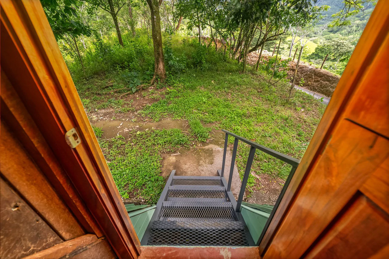 Casa Verde: Your Green Dream - Gallery image 19