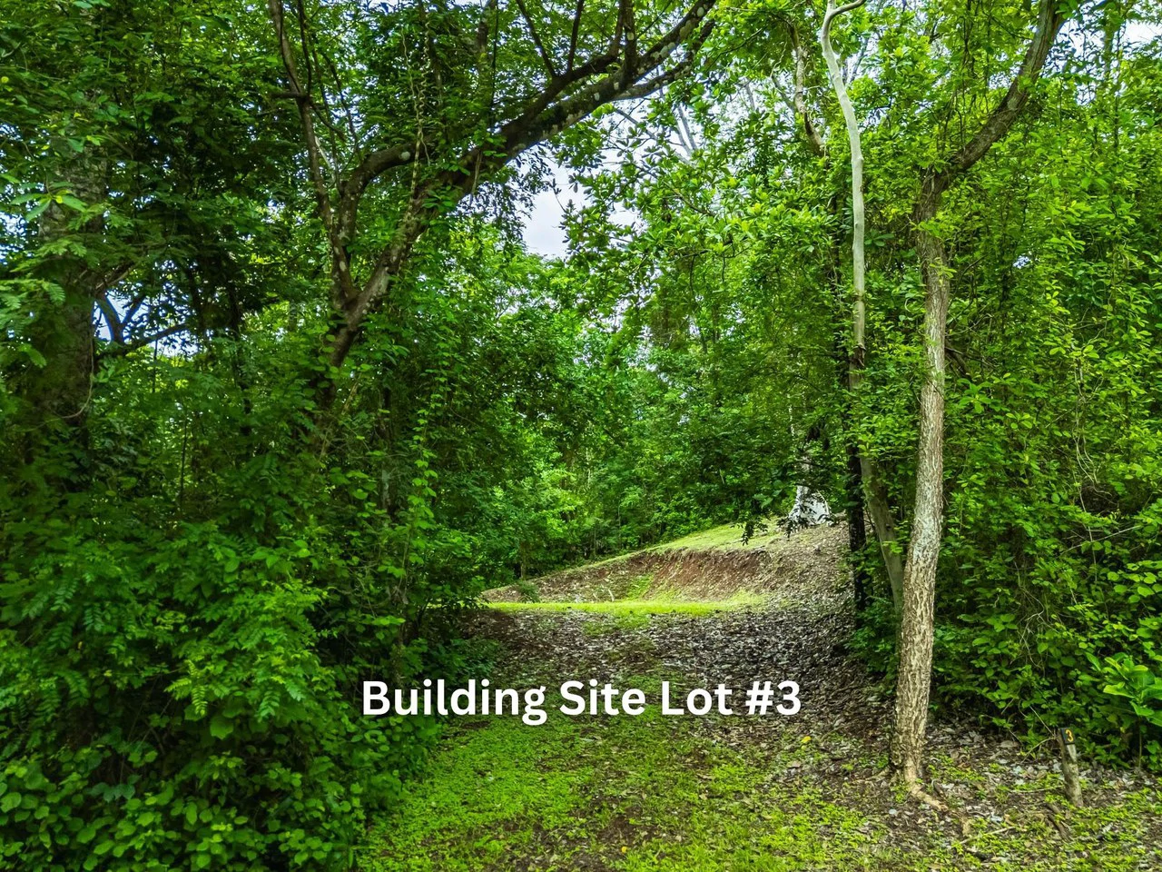 The Refuge: Ecological Lots in Hojancha Blue Zone - photo 11