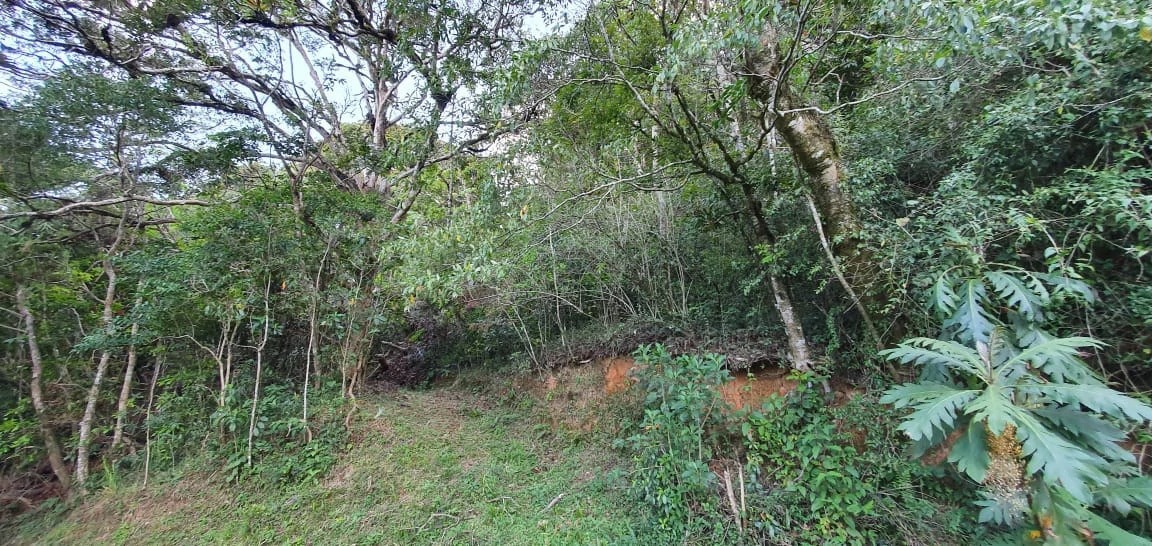 Home Construction Site For Sale in Aserrí - Gallery image 2