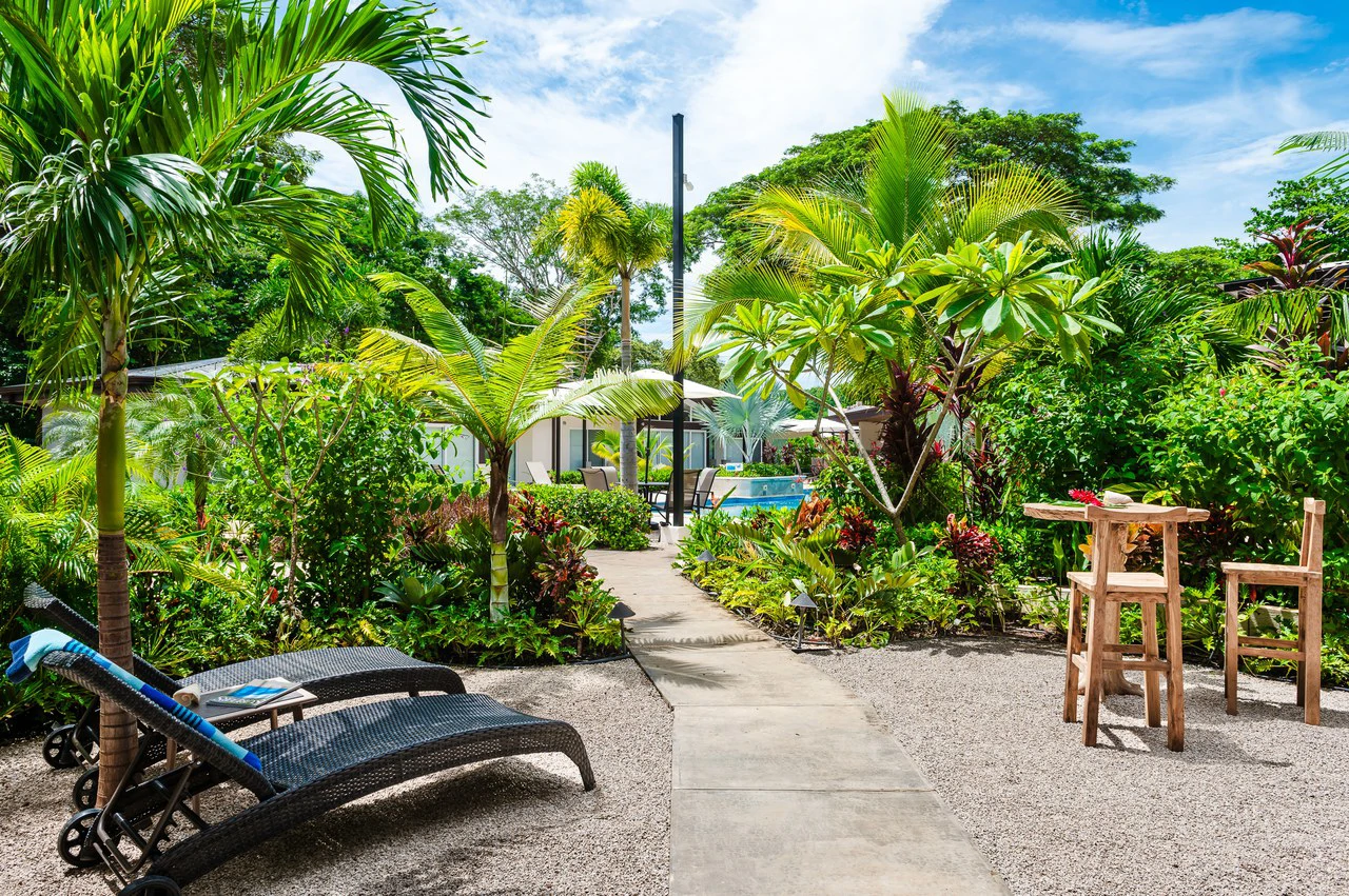 The Point #2: Luxury Modern Villa with Casita in Gated Playa Avellanas Community - Gallery image 13