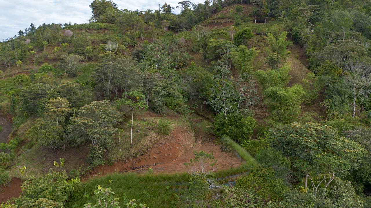 10.21 Acres with Views & Plantels – Pérez Zeledón - Gallery image 21