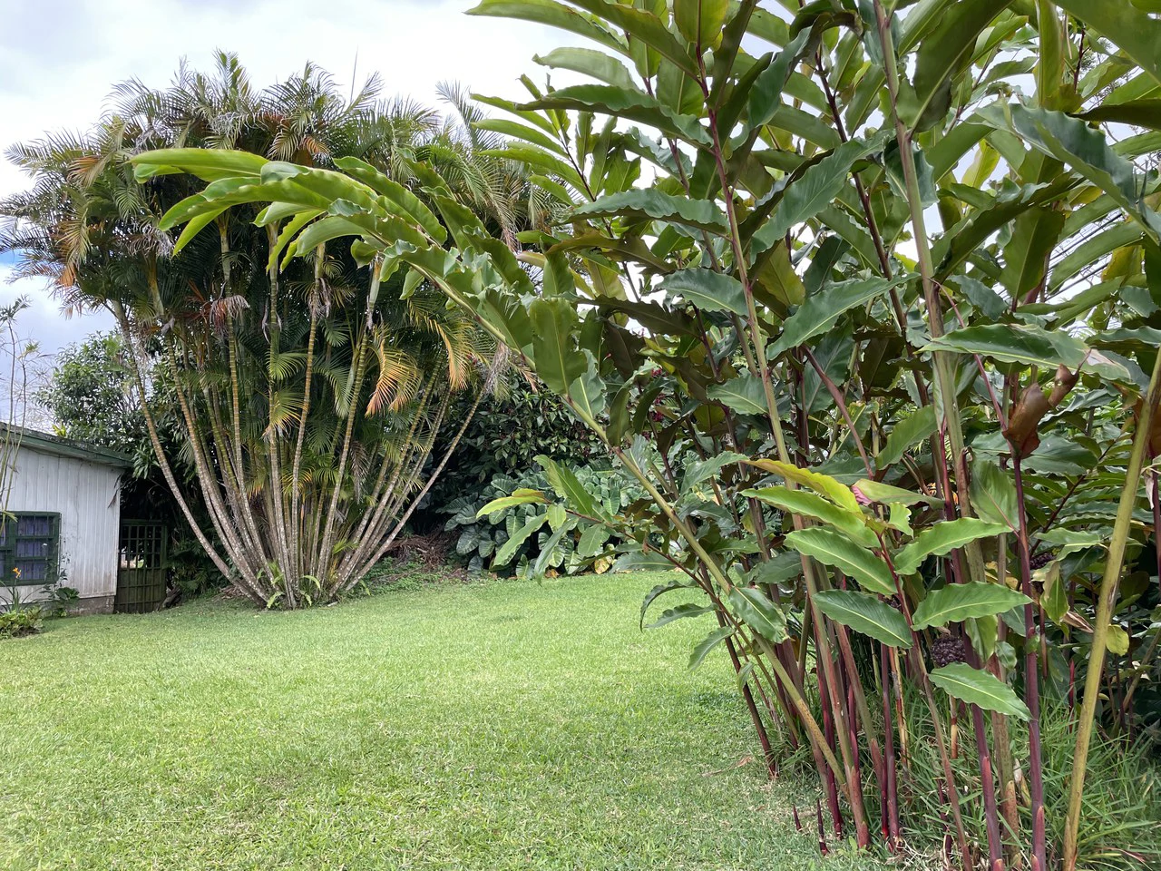 Location Location Location. Coronado, San José, Costa Rica - Gallery image 3