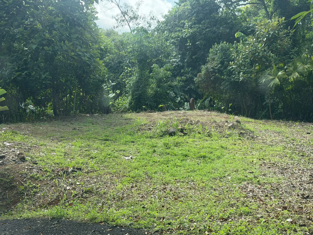 COMPLEJO TURISTICO CON CABINAS: Near the Coast and Mountain Development Parcel For Sale in Barú - Gallery image 6