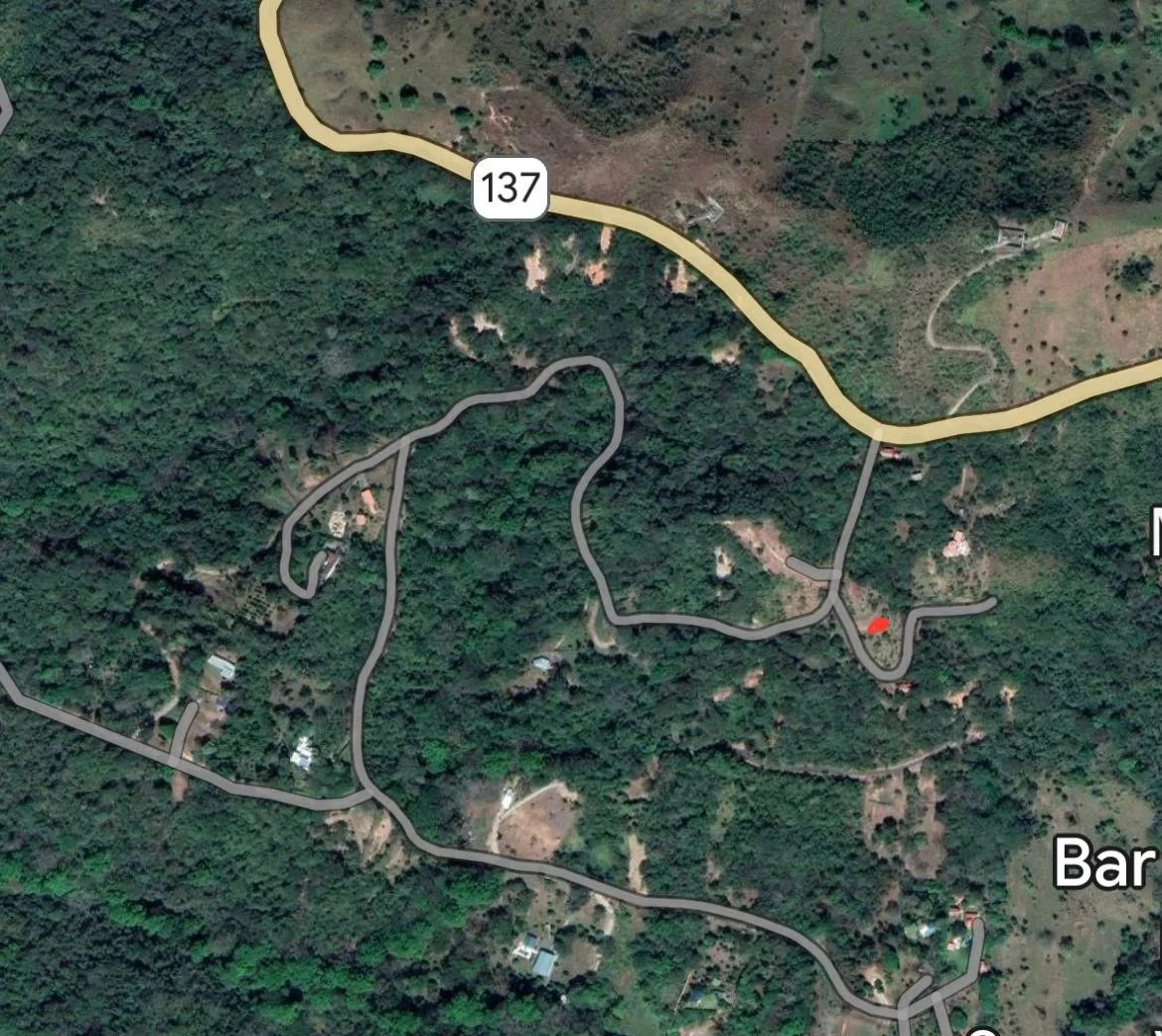 Agricultural Land For Sale in Turrubares - Gallery image 4