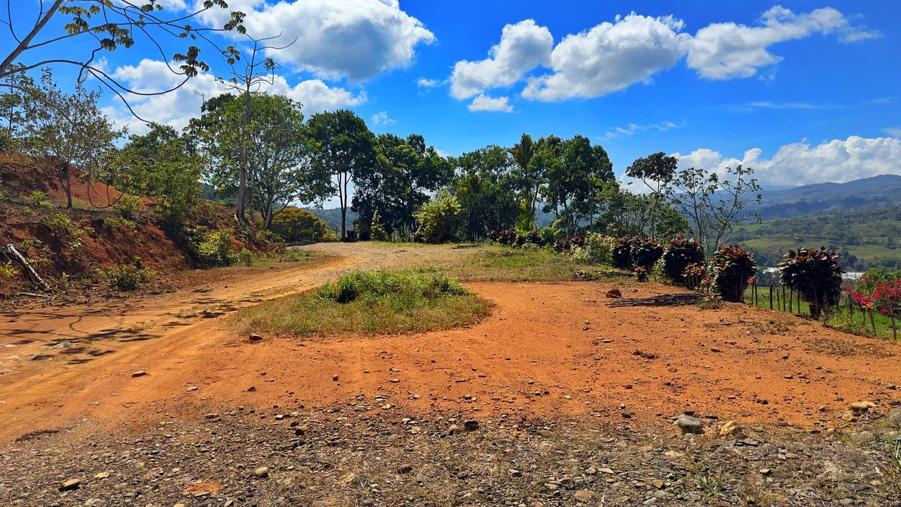Agricultural Land For Sale in Daniel Flores - Gallery image 22