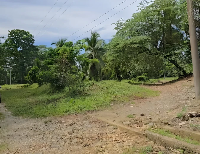 Near the Coast Development Parcel For Sale in Moin - Gallery image 8