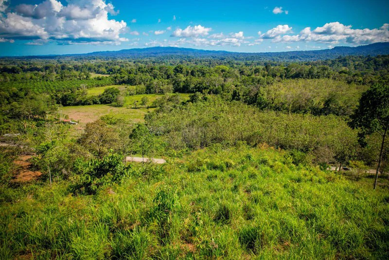 Ocean View & Primary forest 55-ha Rincon de Osa - Gallery image 28
