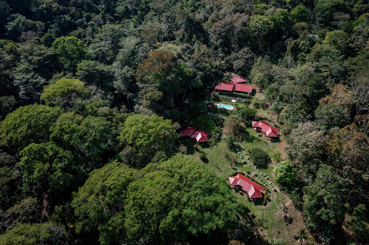 A TRANQUIL HAVEN: PRIME INVESTMENT OPPORTUNITY IN UVITA'S LUSH RIVER ENCLAVE: Mountain Hotel/Resort/Hostel For Sale in Uvita - Gallery image 50