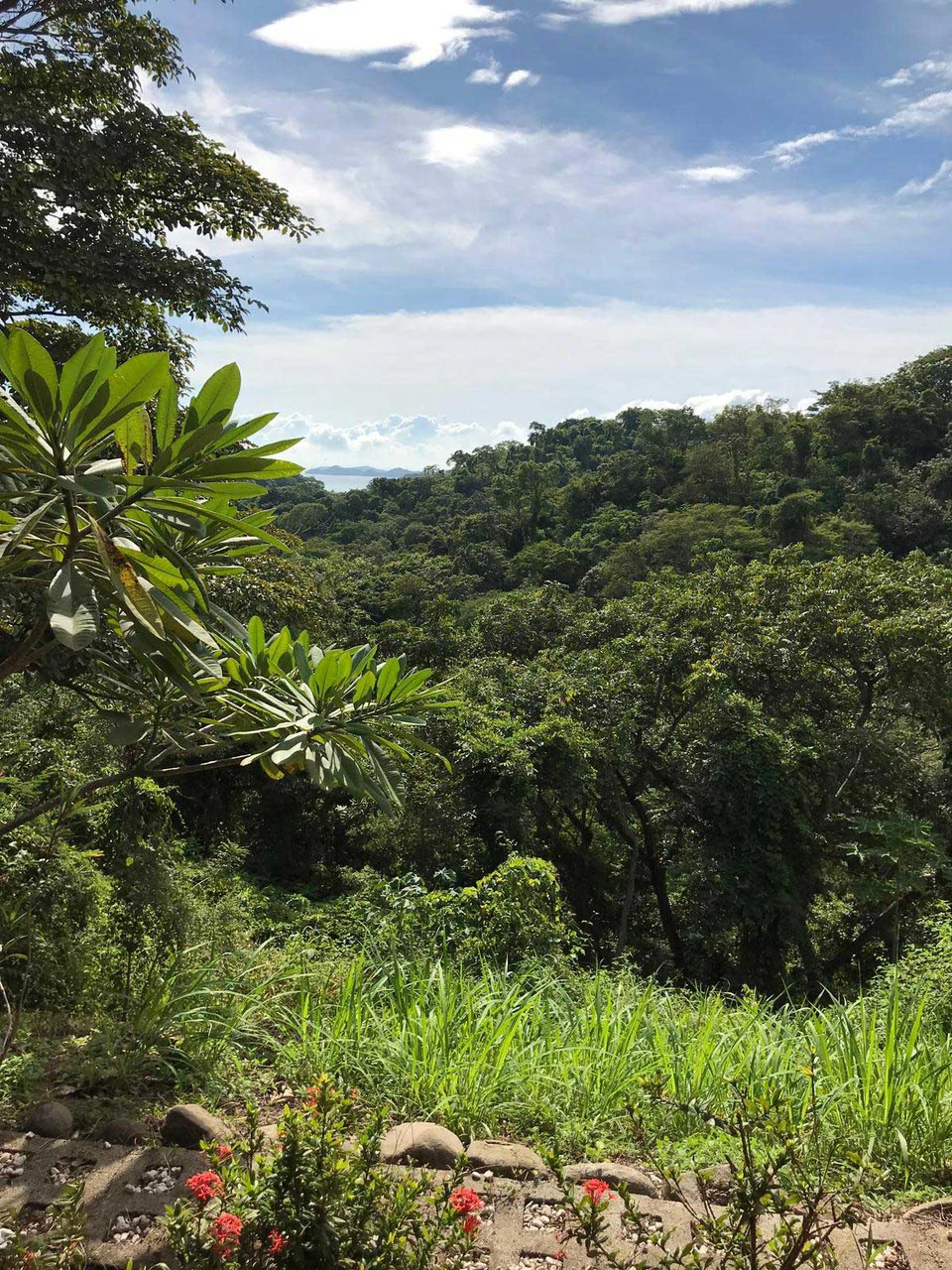 ID 4063: Bahia Gigante, a little piece of heaven on earth - Gallery image 5