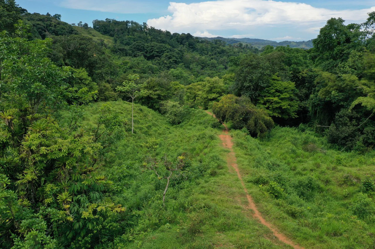 19 Acre Riverfront Lot with Private Waterfall la Perla Dominical - Gallery image 3