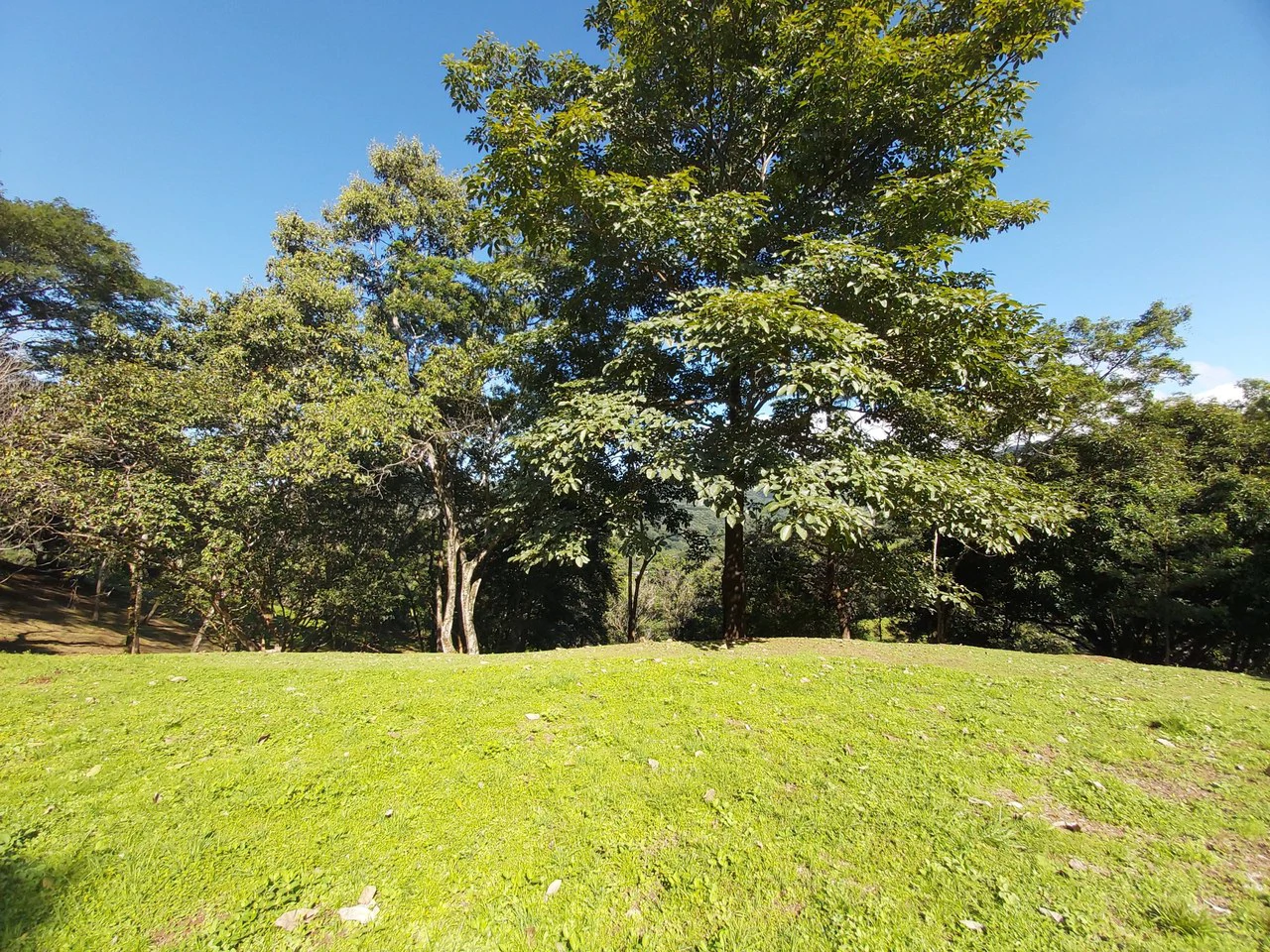 Mountain and Countryside Home Construction Site For Sale in Desmonte - Gallery image 5