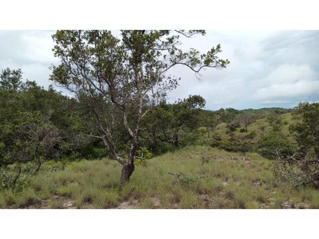 Huge Tico-Farm for sale with a big house in the mountains of Liberia, surrounded by nature and fantastic valley views - Gallery image 33