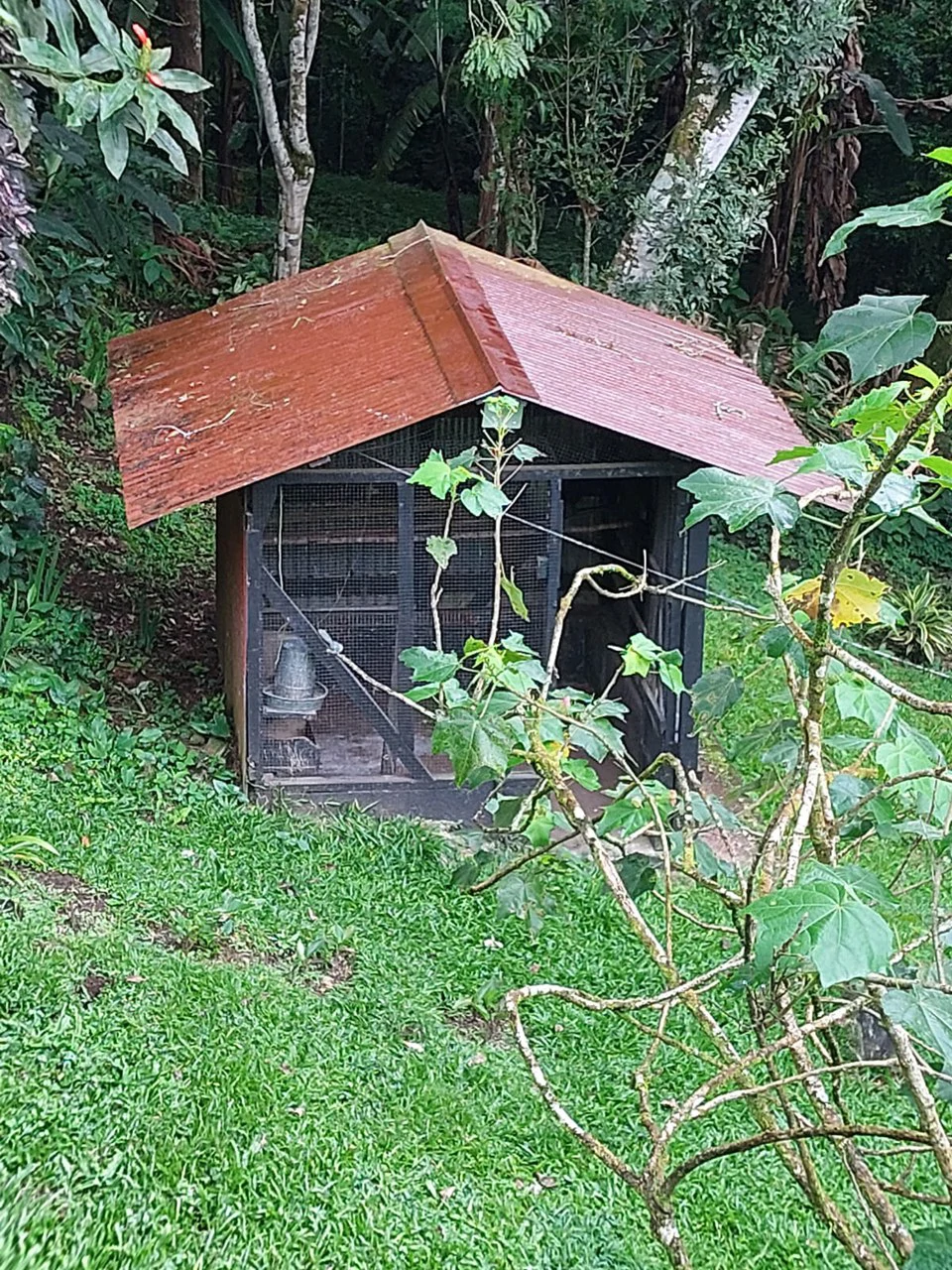 VILLA  ESPERANZA - Gallery image 33