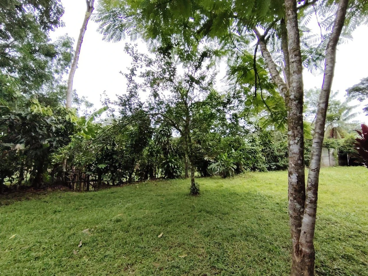 Propiedad en venta, General Viejo, Perez Zeledon.: Mountain House For Sale in General Viejo - Gallery image 2