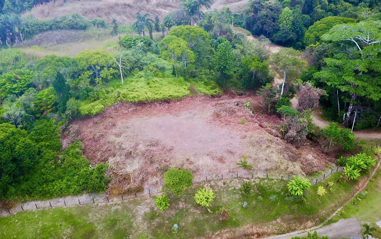 1.32 ACRES- Spectacular Ocean View In Tres Rios, Large Building Site, Legal Water And Electricity, Ready To Build & Close to Beaches!! - Gallery image 13