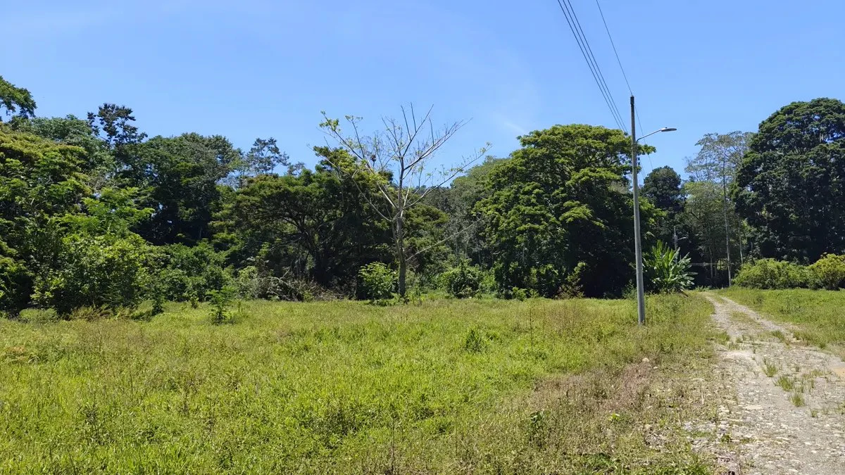 ID 924: El Cortijo: El Cortijo - Residential Lots for Sale in Hone Creek Near Puerto Viejo - Gallery image 12