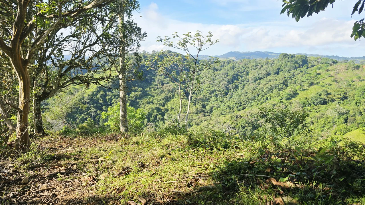 Mountain Agricultural Land For Sale in San Isidro del General