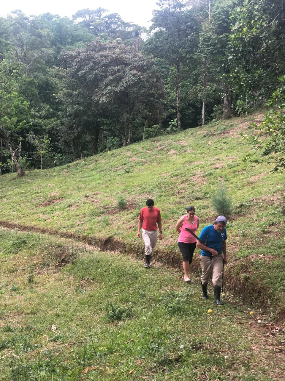 Spectacular 72.44 acres: Magical rain forest paradise with river, waterfall, hiking trails, diverse wood and fruit trees. Perfect location for retreat development, hotel or home. - Gallery image 5