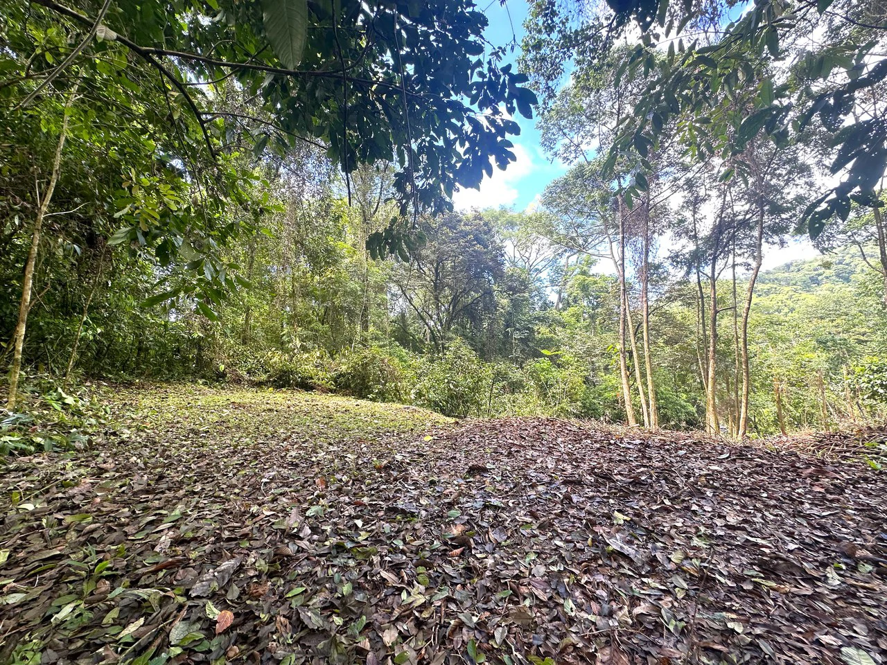 Mountain View Building Lot in Prestigious Gated Community With Private Waterfall & Two Building Sites: Mountain Home Construction Site For Sale in Portalon - Gallery image 11