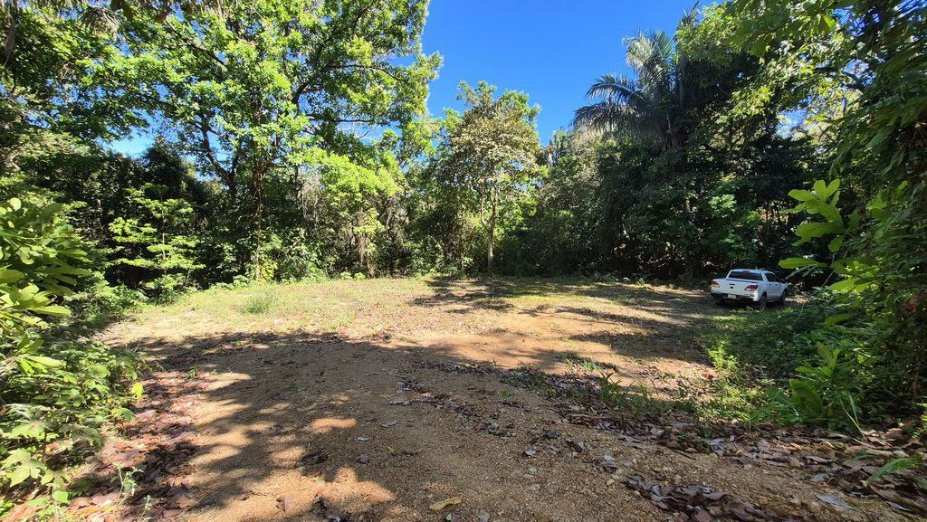 LOTE 29 SAMARA WOODS: New Price Drop ! Last Beautiful Lot With Jungle Views in quiet Samara Woods community – 5 minutes from Samara Samara - Samara Woods Exclusivity - Gallery image 3