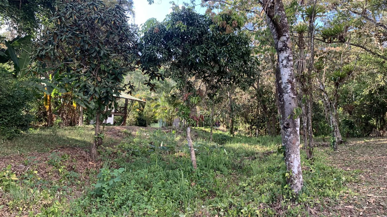 Talari Hotel: Nature and Bird Lover's Paradise - Mountain Lodge - Gallery image 30