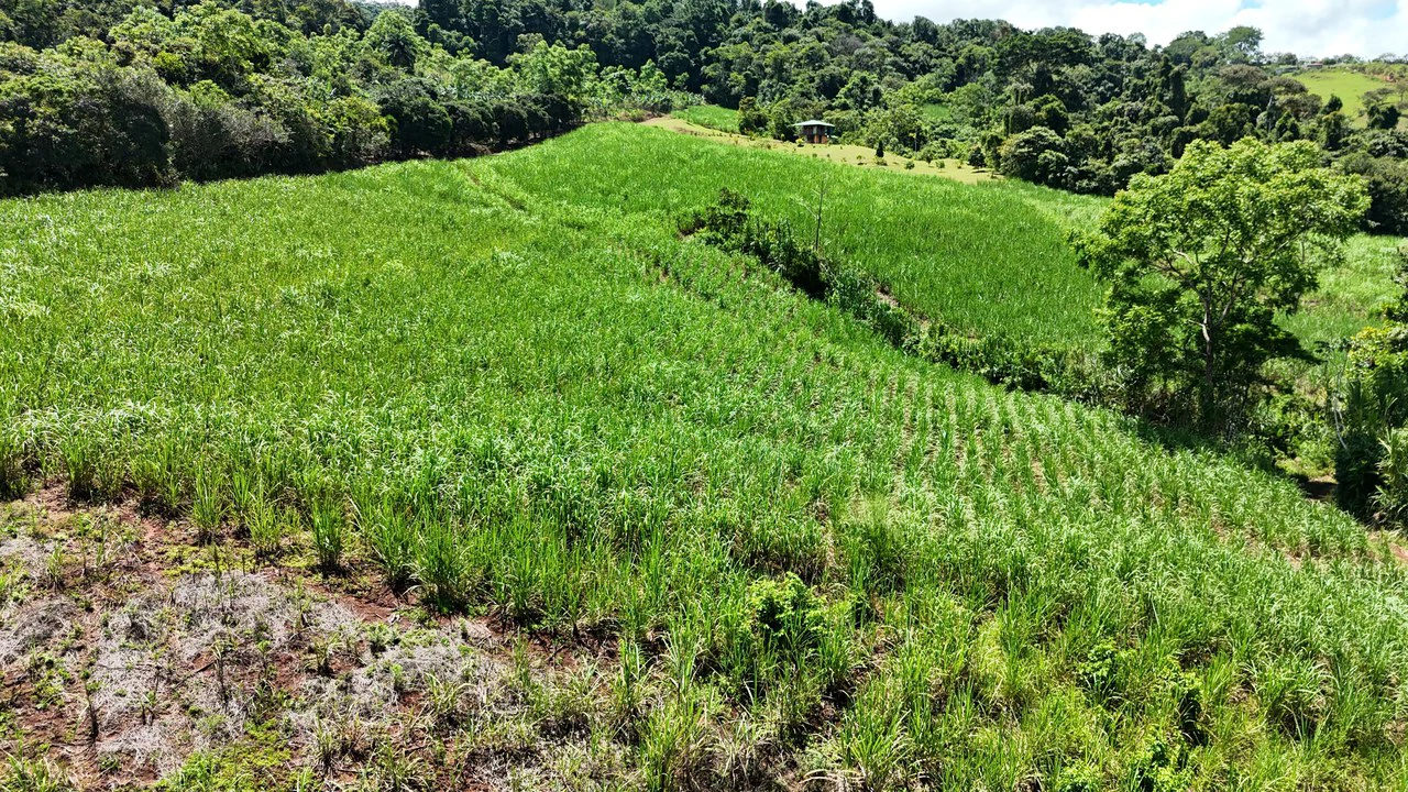 Home Construction Site For Sale in General Viejo - Gallery image 4