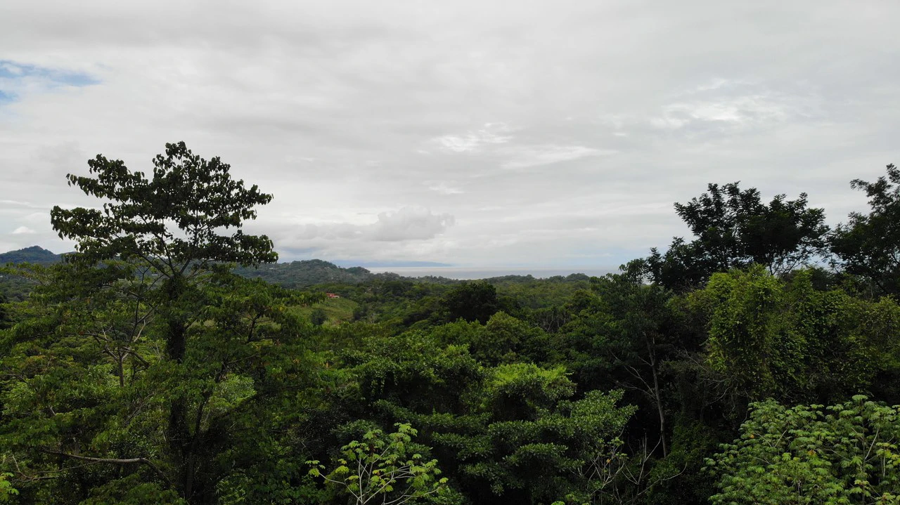 Exquisite Jungle property with Ocean View | Gated Community in Ojochal - Gallery image 10