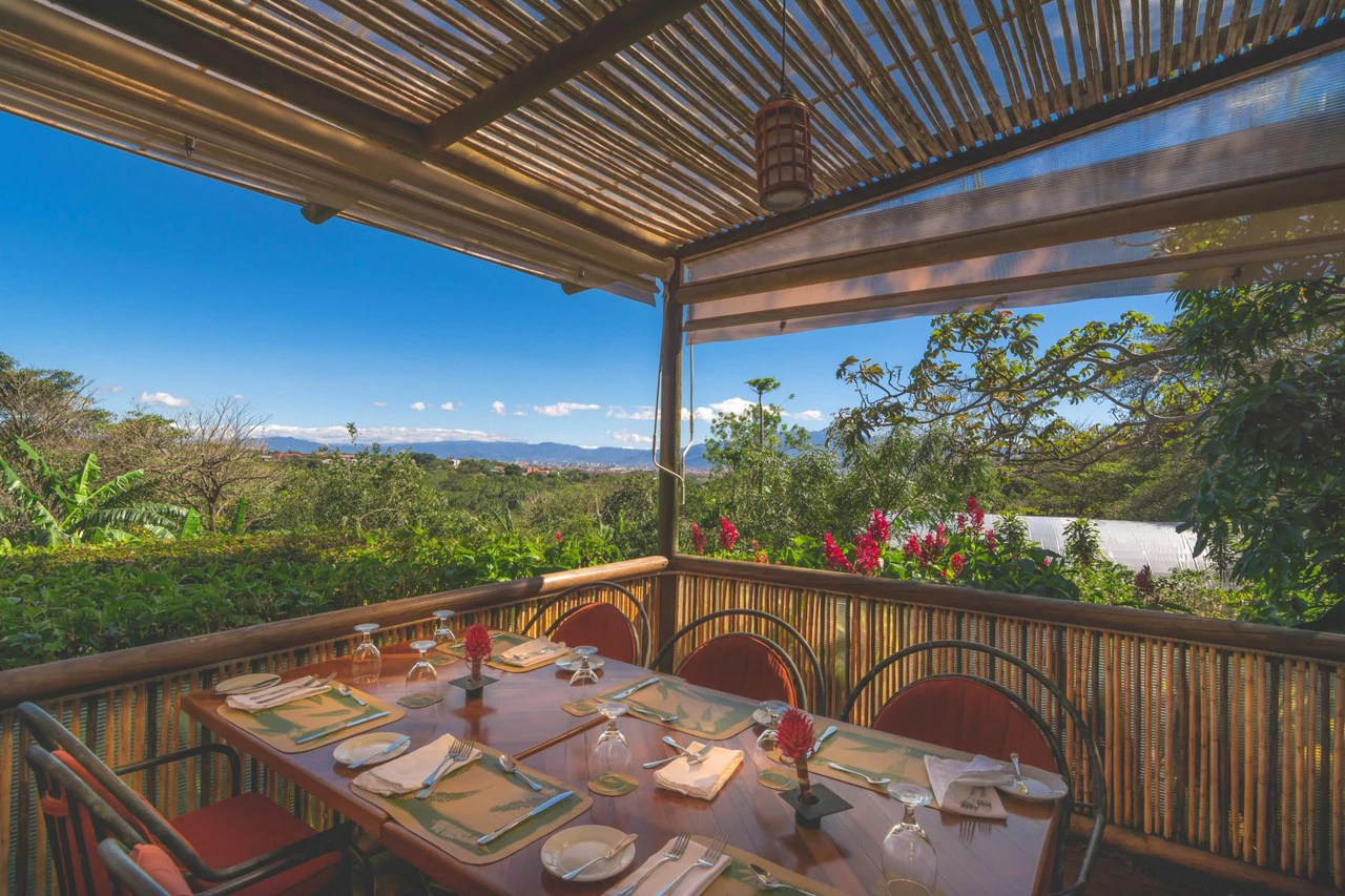 Coffee Estate and Boutique Hotel: Costa Rica’s Premier Eco-Luxury Organic Coffee Estate & Boutique Hotel - Gallery image 24