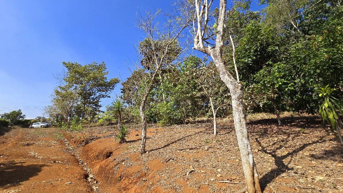 Home Construction Site For Sale in La Ceniza - Gallery image 14