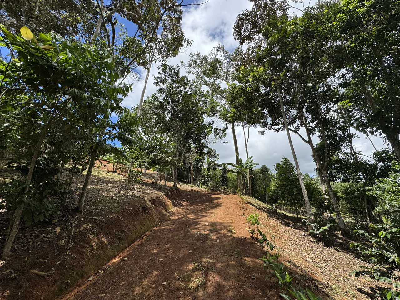 Prime 40,000 Sq. Ft. Building Lot with Mountain & Valley Views in Pérez Zeledón - Gallery image 6
