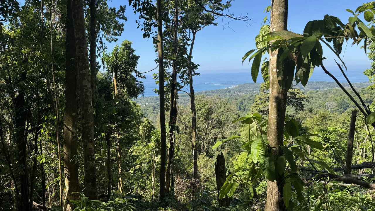 Front-Row Ocean View Lot in the Exclusive Mountains of La Unión - Gallery image 10