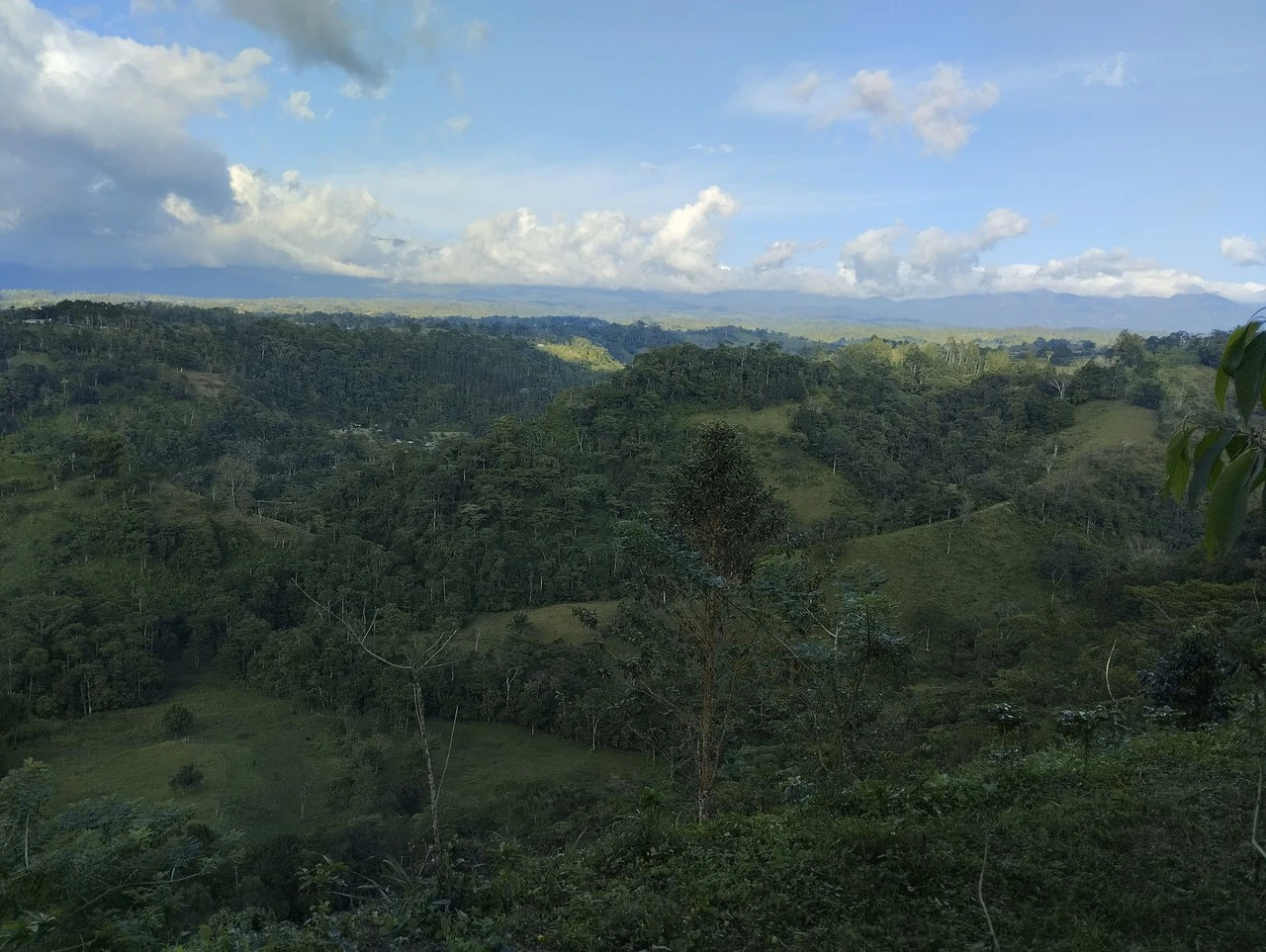 Charming Private Mountaintop home in the perfect climate of San Vito Coto Brus, San Isidro-Perez Zeledon, San Vito, San Jose, Costa Rica - Gallery image 29